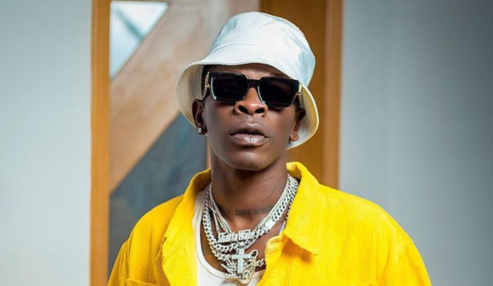 Shatta Wale Criticizes Police for Arresting Youth Over Toy Guns