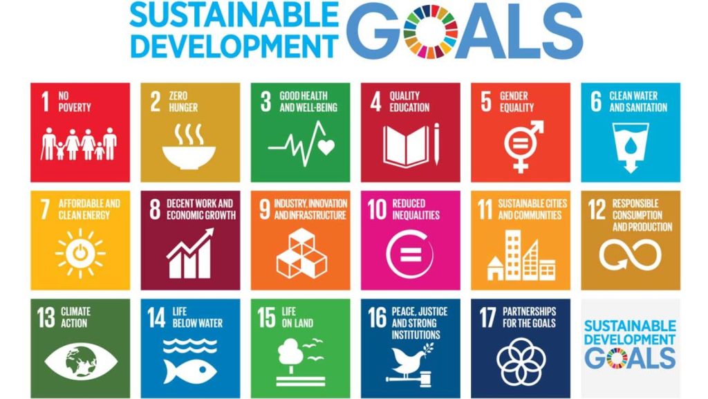 Experts to Tackle Challenges and Opportunities of the SDGs