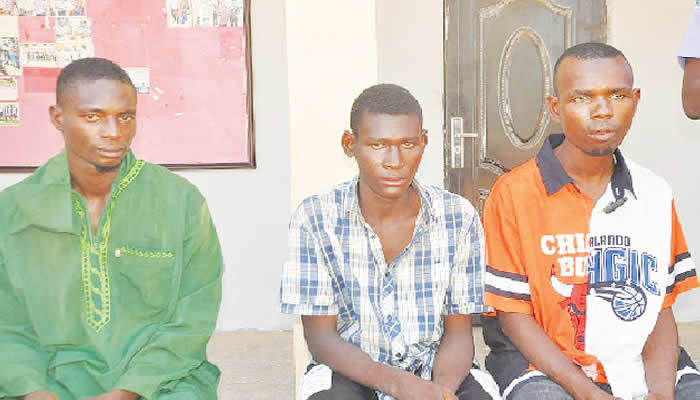 Three Members of Notorious “Shilla” Gang Arrested in Adamawa