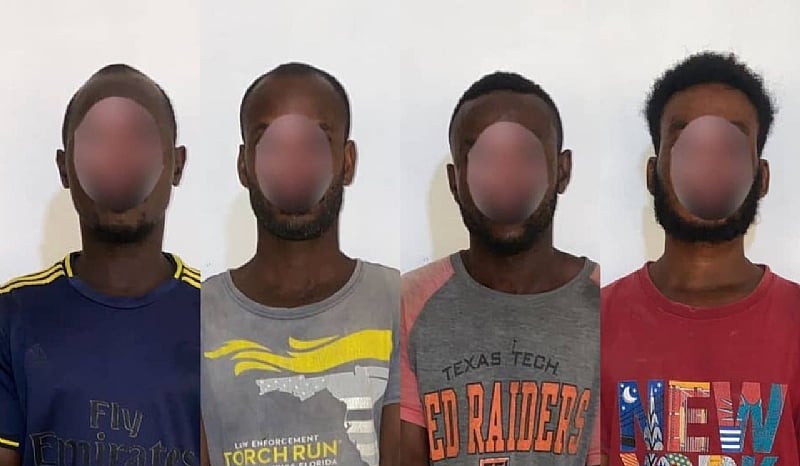 115 Arrests Made in Connection with the 2024 Election