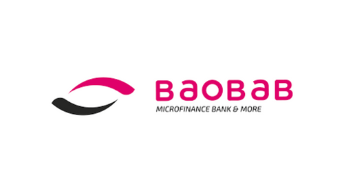 Baobab Disburses Over N323 Billion in Loans to Support SMEs