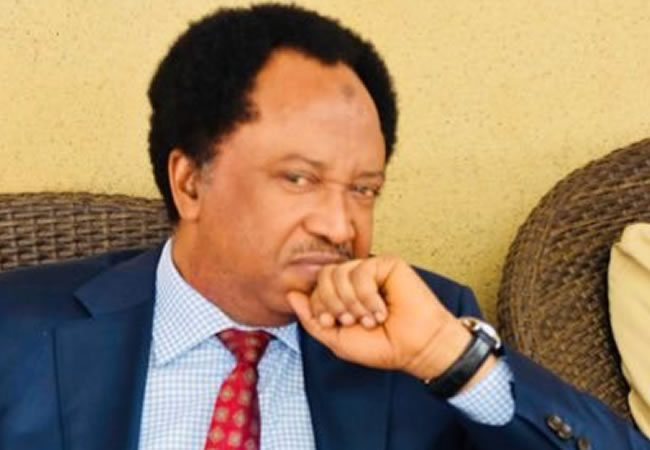 Shehu Sani’s Rationale for Returning to the All Progressives Congress